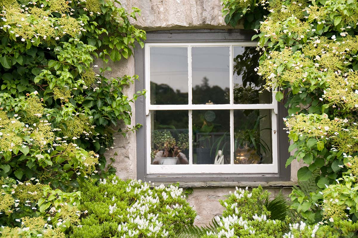 sash window on period property